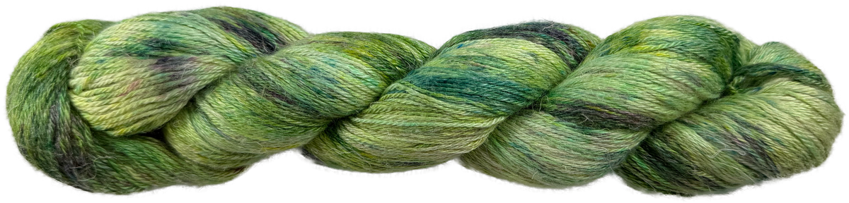 Lichen