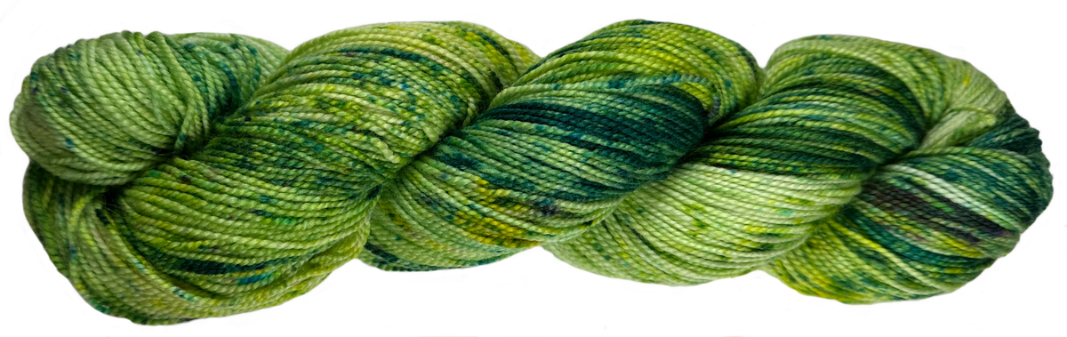 Lichen