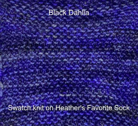 Black Dahlia